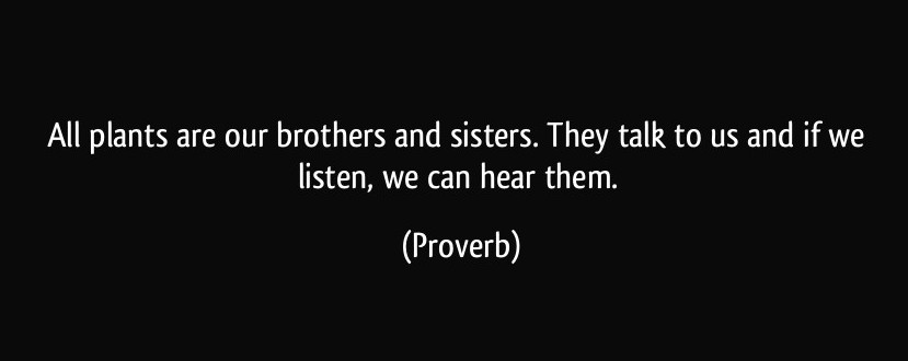 quote-all-plants-are-our-brothers-and-sisters-they-talk-to-us-and-if-we-listen-we-can-hear-them-proverbs-336092