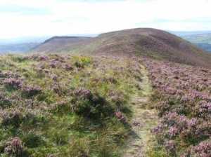 Heather on silvermines 2