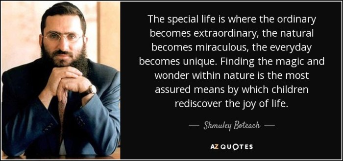 quote-the-special-life-is-where-the-ordinary-becomes-extraordinary-the-natural-becomes-miraculous-shmuley-boteach-76-89-71